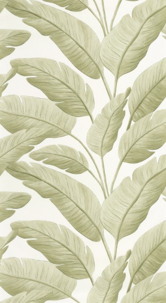 Pilt Tropicalia - 106547003