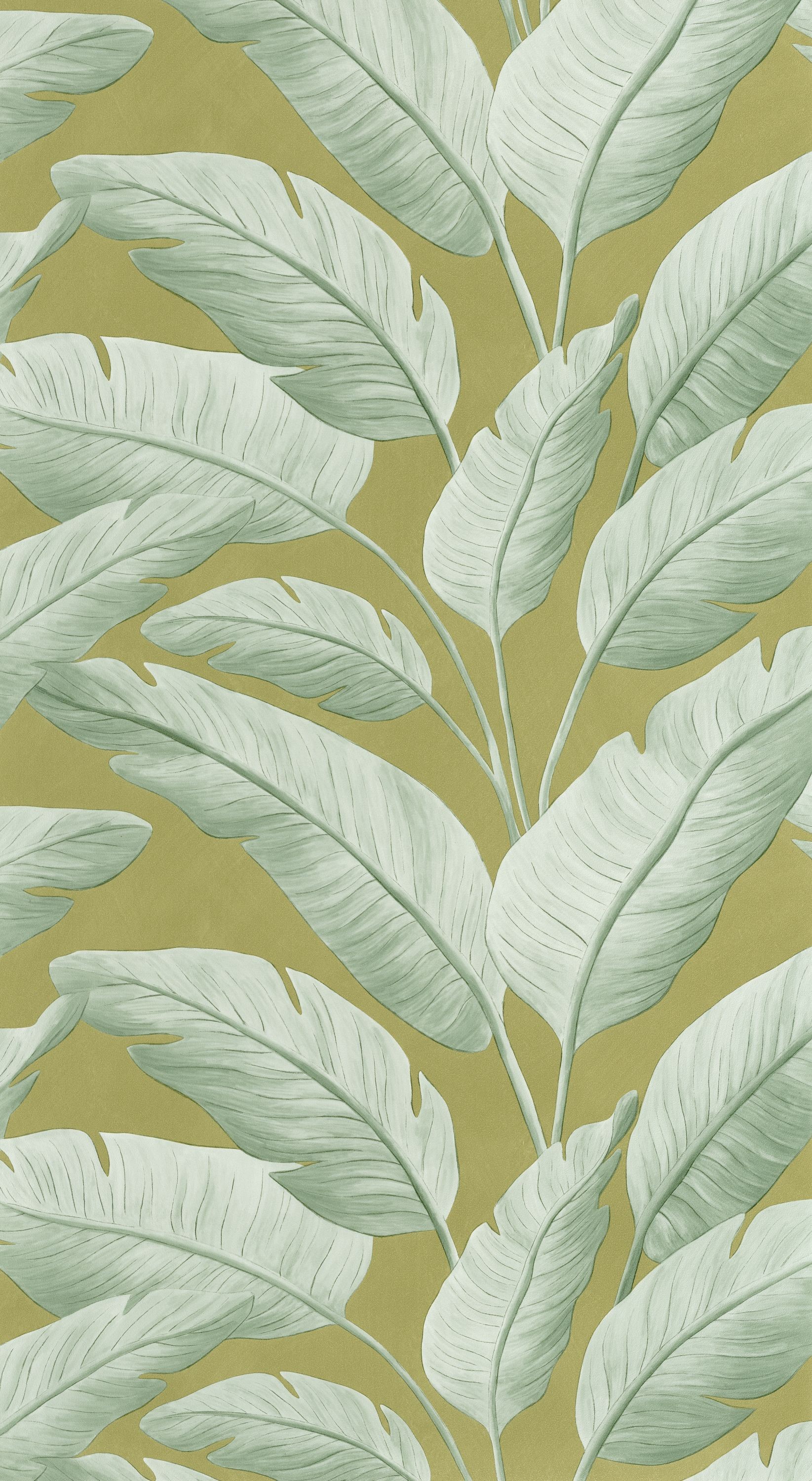 Kép Tropicalia - 106547122