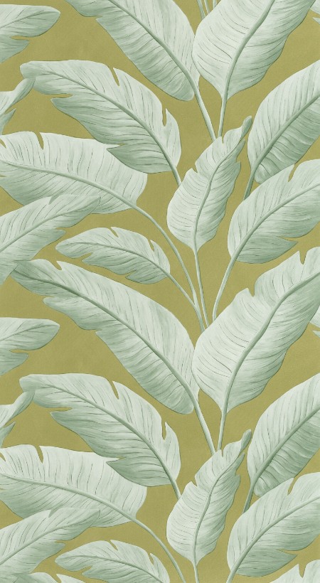 Pilt Tropicalia - 106547122