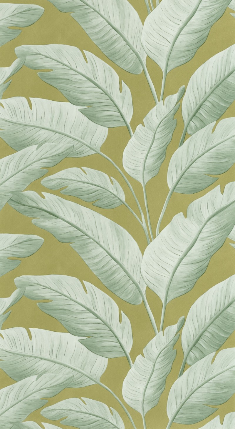 Image de Tropicalia - 106547122