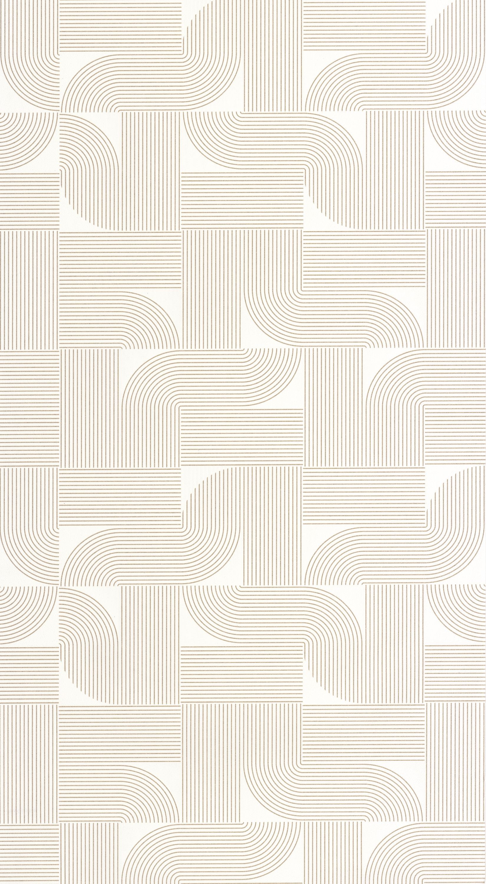 Image de Softness - 106570014