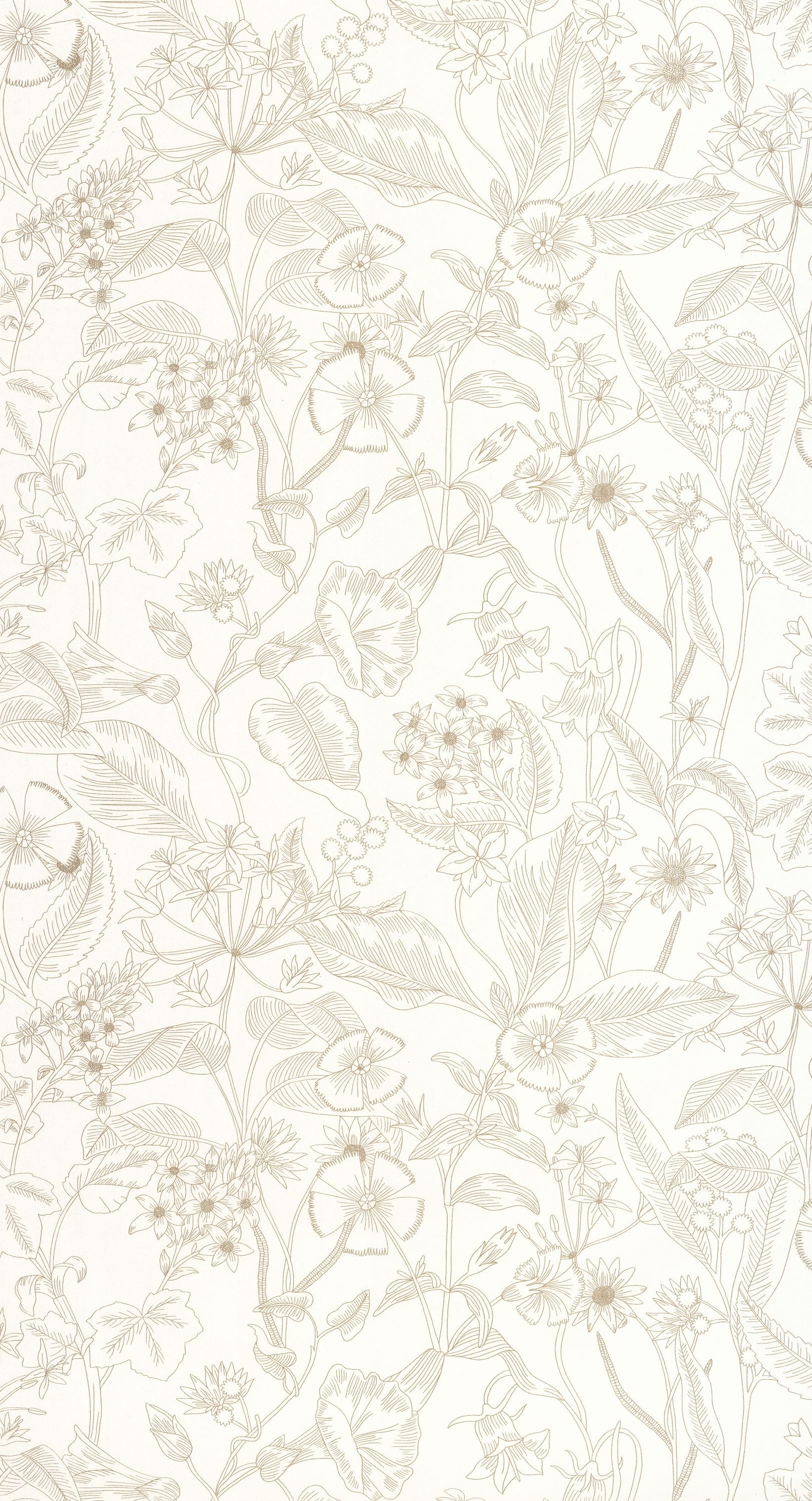 Image de Lightness - 106600026