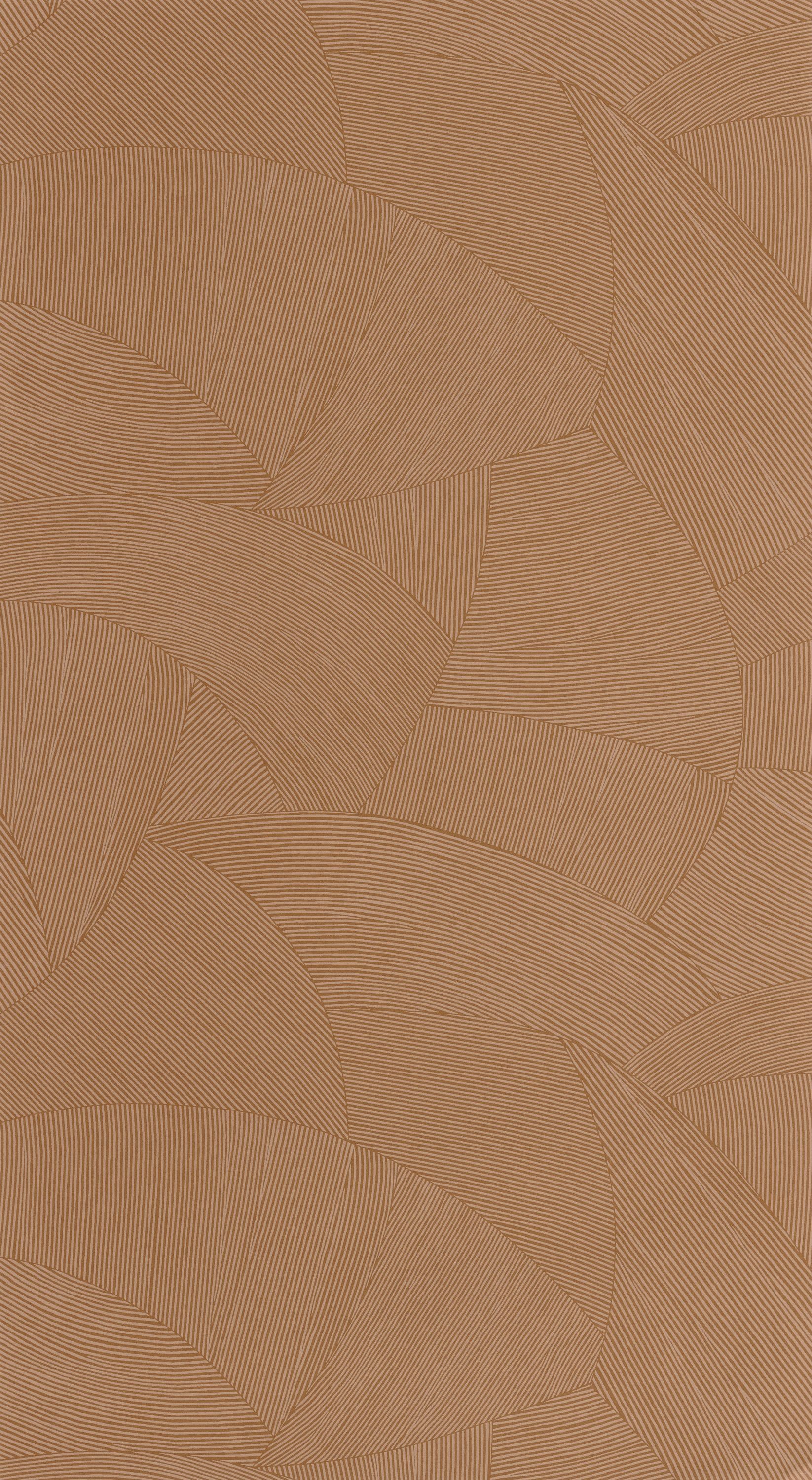Bild von Terra - 106062030