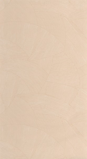 Снимка на Terra - 106062087