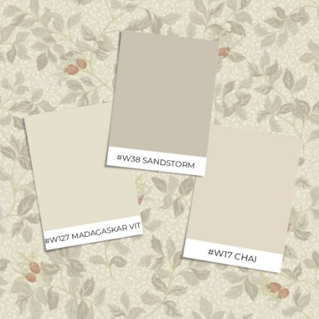 Image de Coloration Nora Beige - 431-02 - 06388-01