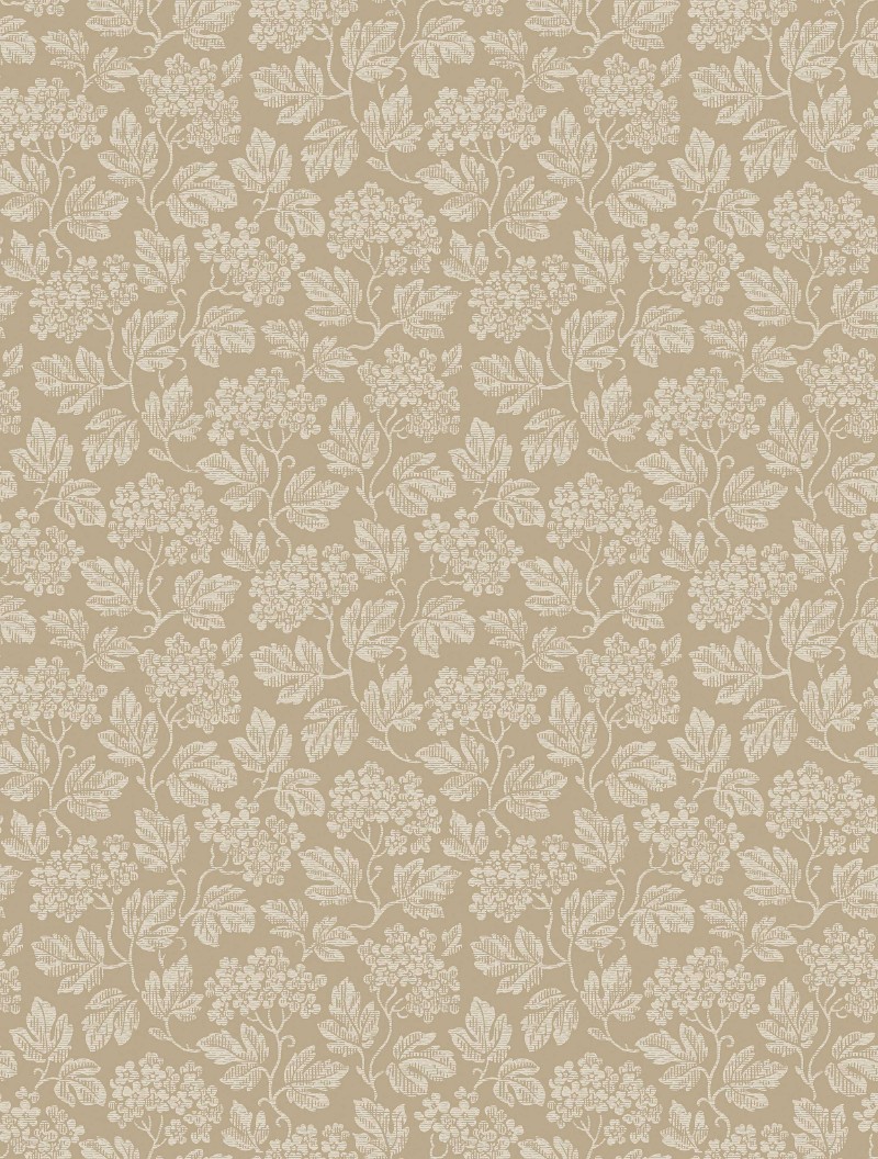 Image de Coloration Hagtorn - 8080 - 06345-01