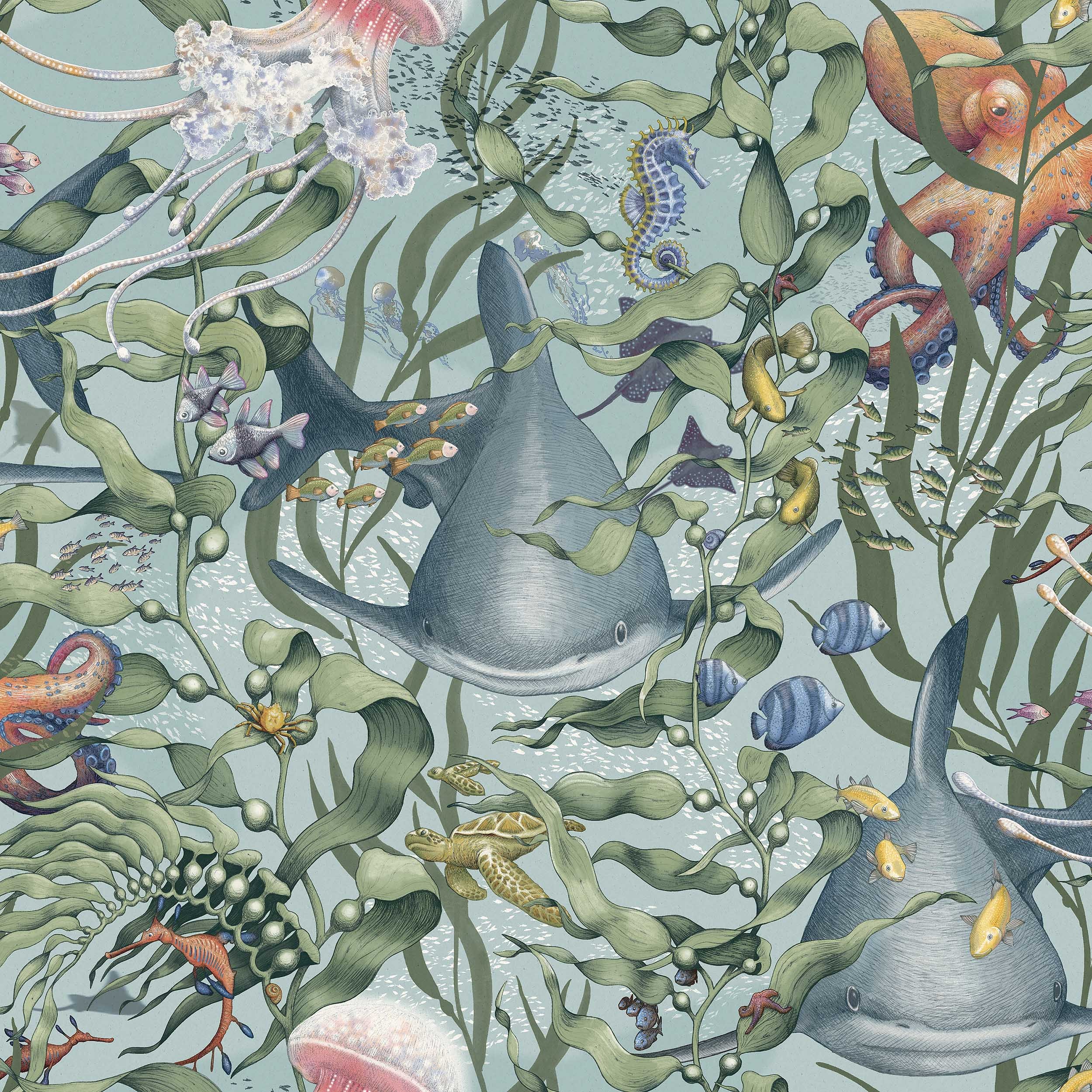 Ritratt ta’ Underwater Magic - 8152