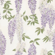 Afbeeldingen van Agne Purple - 1048501-03