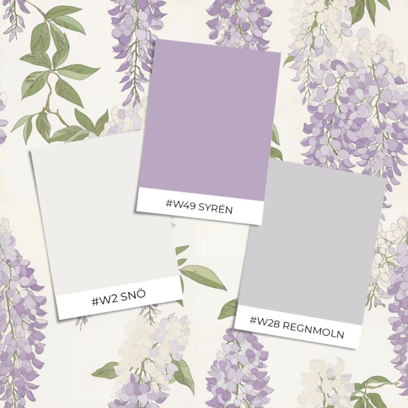 Image de Agne Purple - 1048501-03