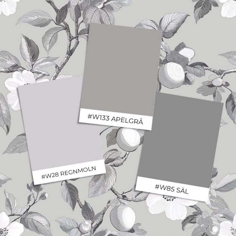 Image de Anette Grey - 1048901-03