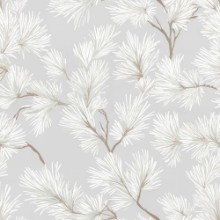 Picture of Elvin Grey - 1051501-03