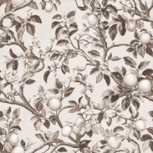 Picture of Gesunda Beige - 1052901-01