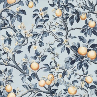 Ritratt ta’ Gesunda Blue - 1052901-02