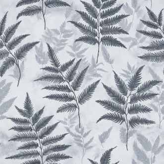 Image de Raul Blue - 1058801-01