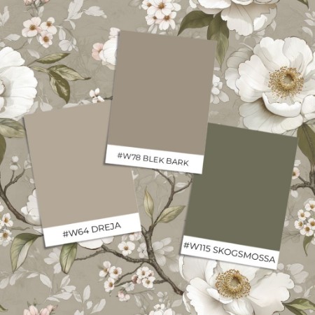 Obrazek Farba Asta Beige - 1049301-01 - 06418-01