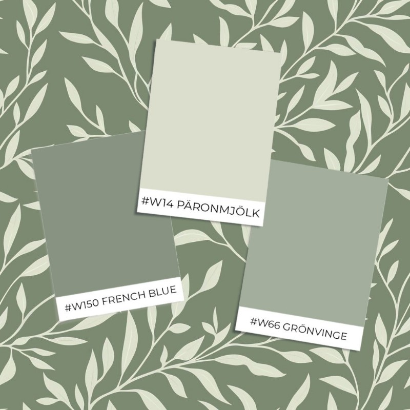 Image de Coloration Johannes Dark Green - 1054601-01 - 06507-01
