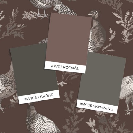 Poza cu Vopsea Tord Brown - 1062101-03 - 06669-01
