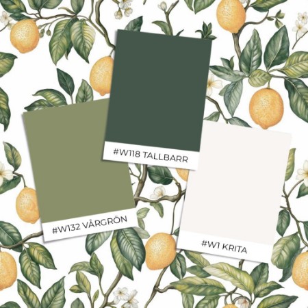 Picture of Sample style - Osby White - 1062801-01