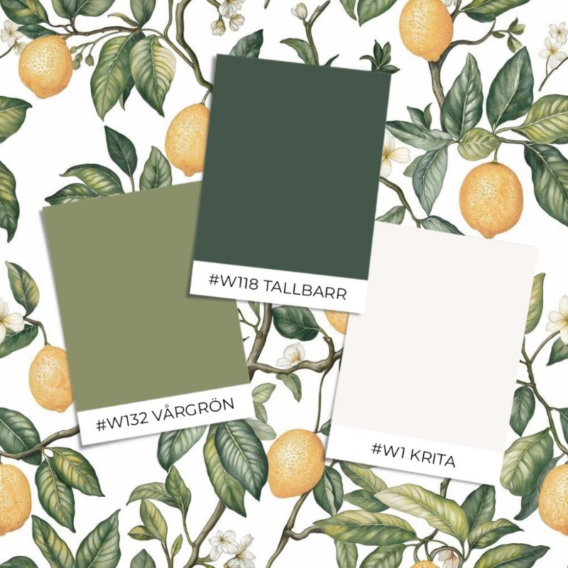 Picture of Sample style - Osby White - 1062801-01