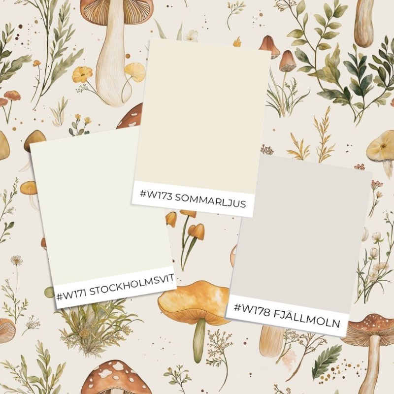 Image de Anja Cream - 1067401-01