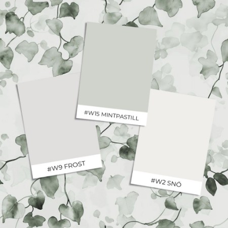 Image de Coloration Emile Green - 1051701-02 - 06805-01
