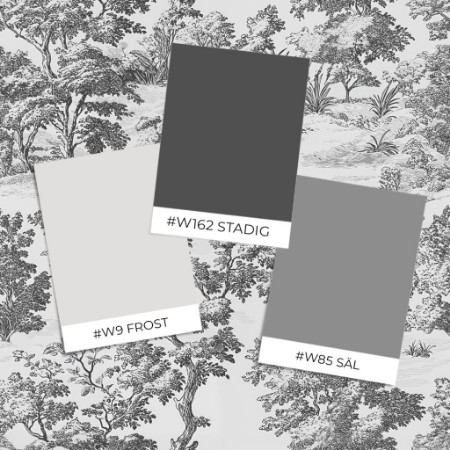 Image de Coloration James Grey - 1054201-03 - 06831-01