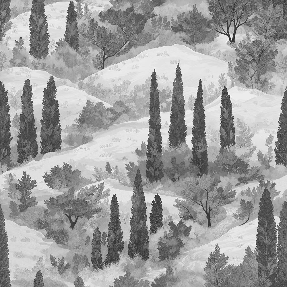 Снимка на Raphael Grey - 1058701-03