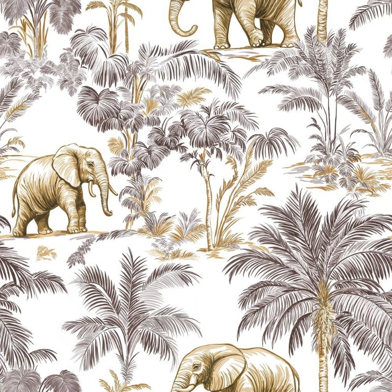 Image de Malawi Brown - 1064301-03