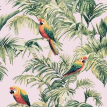 Image de Trinidad Pink - 1066701-03