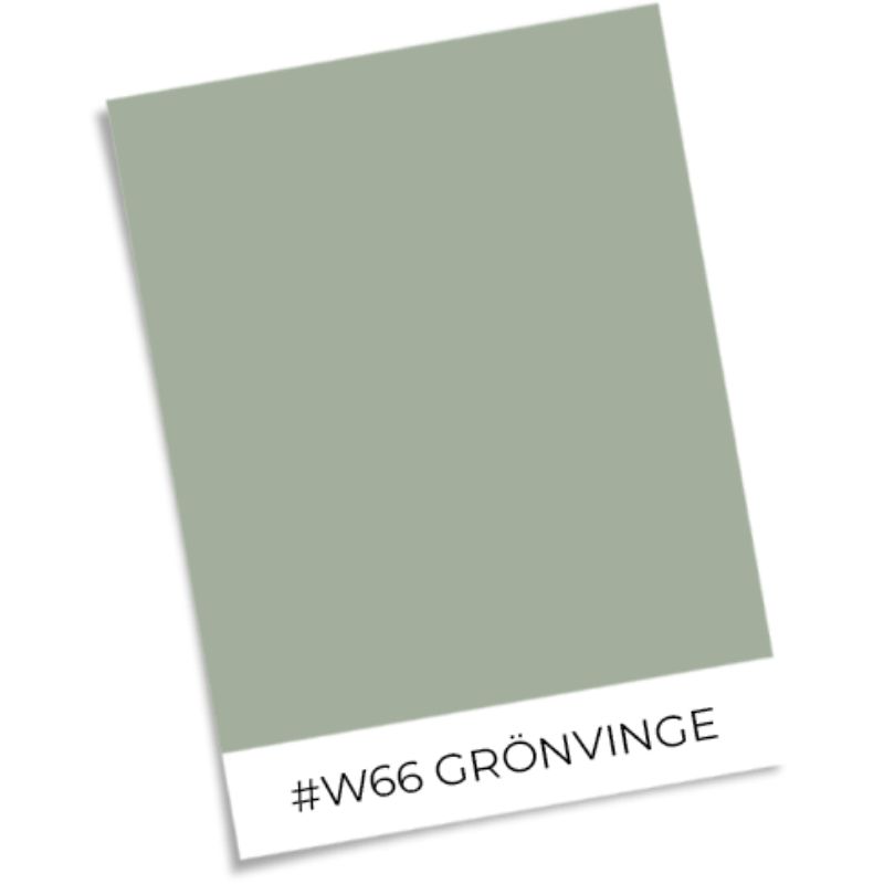 Image de Coloration Johannes Dark Green - 1054601-01 - 06507-01