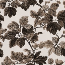 Picture of Sebastian Brown - 1069201-03