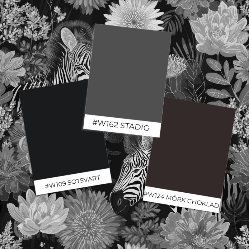 Image de Coloration Salah Grey - 1069401-03 - 06988-01