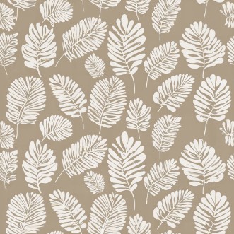 Bild von Tore Beige - 1071701-03