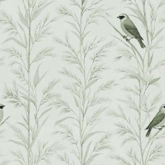 Immagine di Orvar Green - 1072501-03