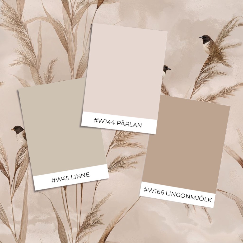 Torkel Brown - 1072601-01 wallpaper Wallpassion