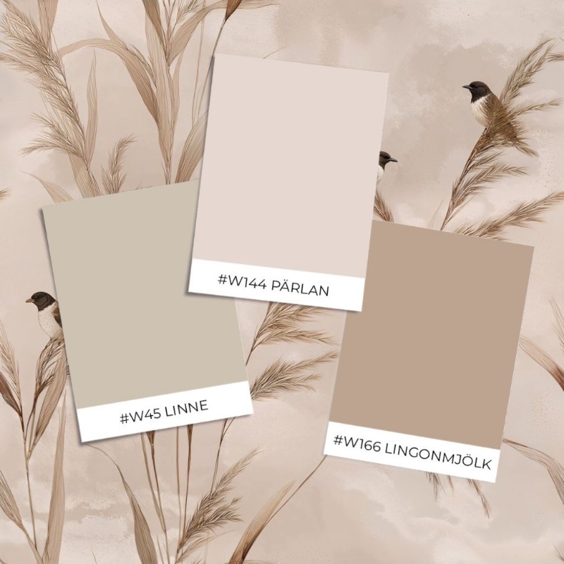 Image de Torkel Brown - 1072601-01