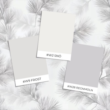 Image de Coloration Silas Grey - 1073601-01 - 07112-01