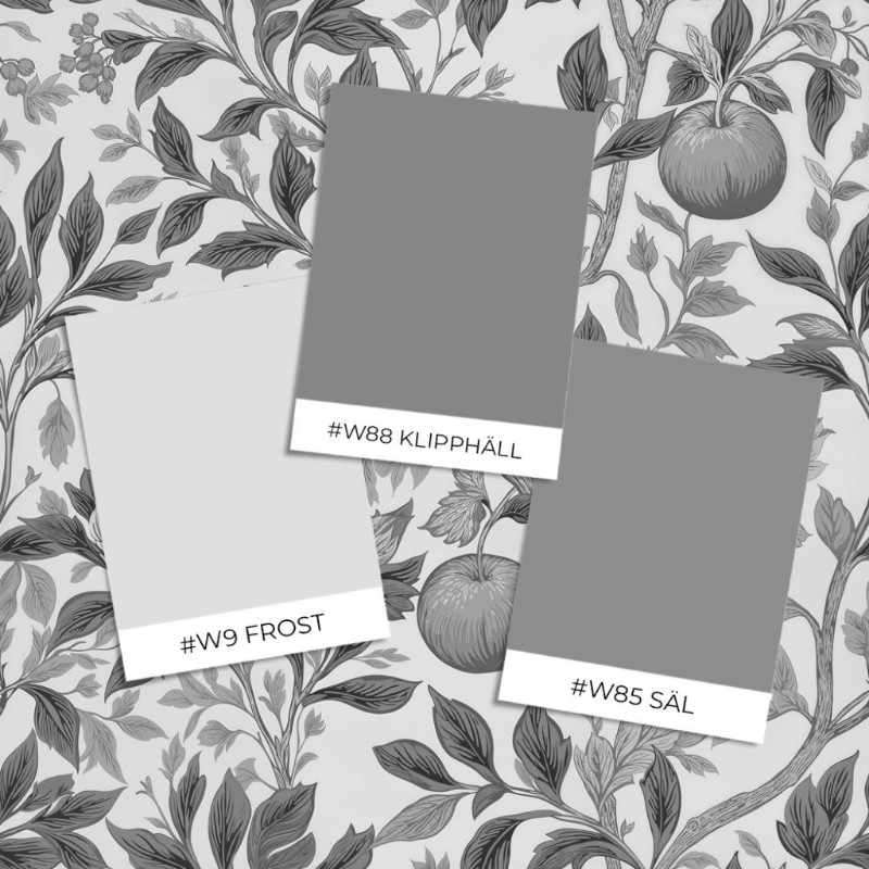 Image de Lauge Grey - 1076401-02