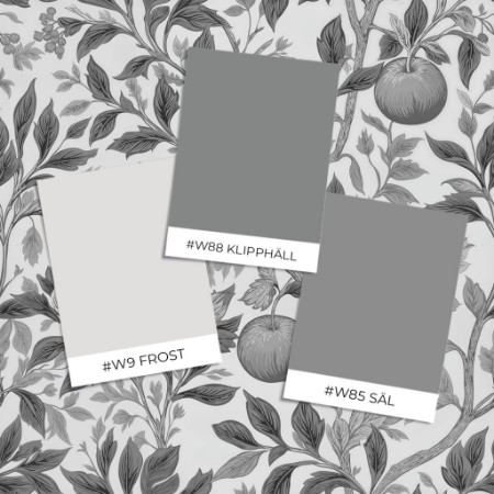 Slika Barva Lauge Grey - 1076401-02 - 07192-01
