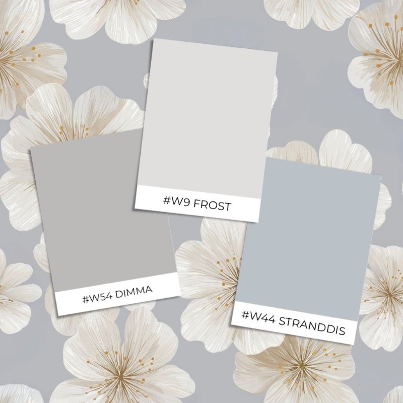 Bild vun Lollo Grey - 1076701-01