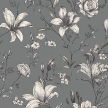 Image de Nikita Grey - 1078801-01