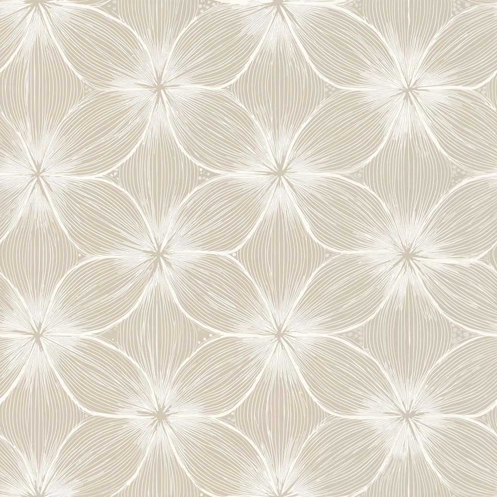 Maximilian Beige - 1080001-01 paveikslėlis