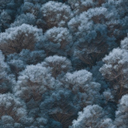 Picture of Dennis Blue - 1080401-01