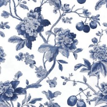 Immagine di Manuela Blue - 1080501-01