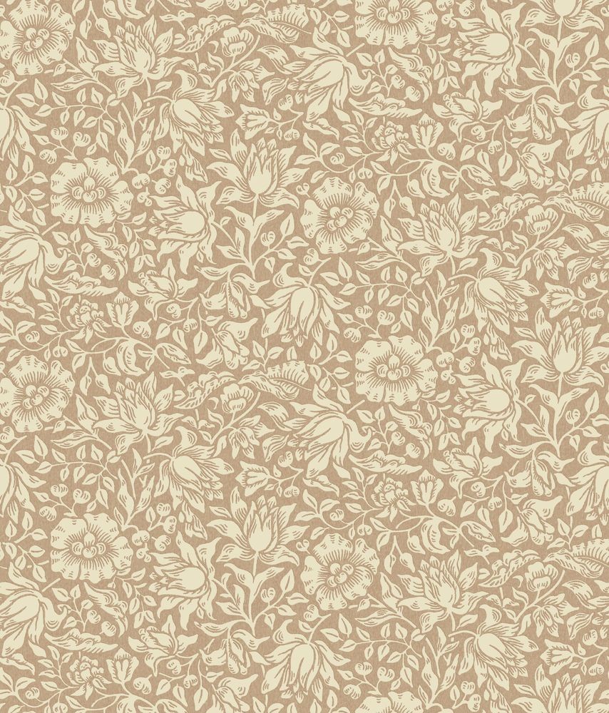 Image of 