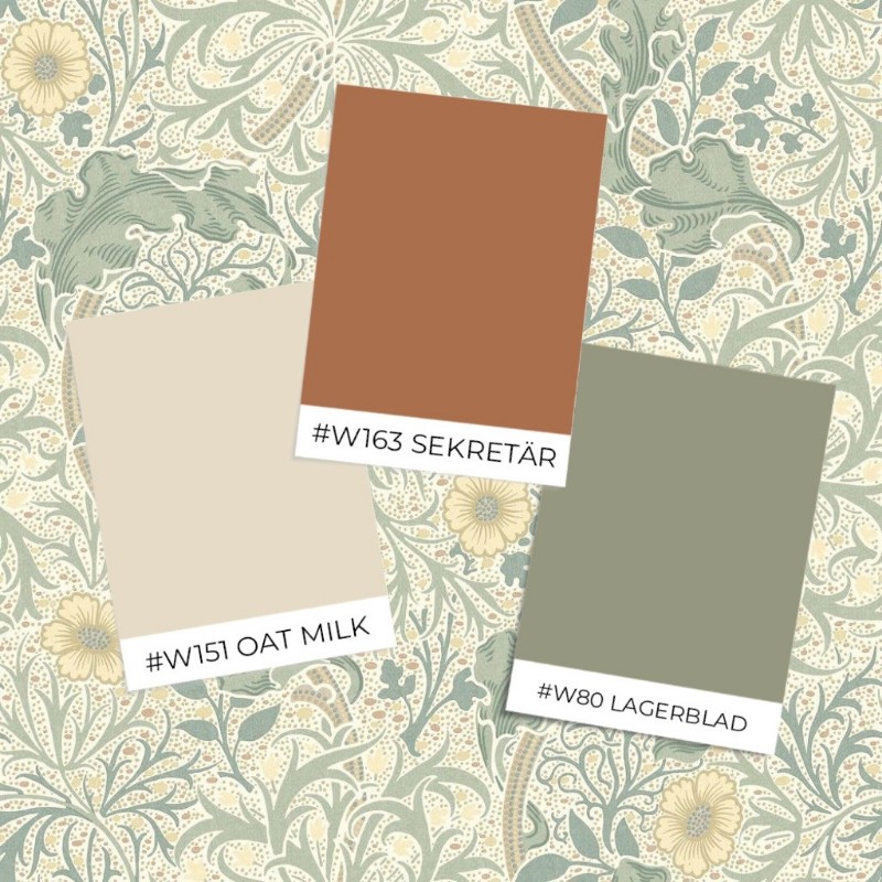 Attēls Seaweed Privet/Marigold - MOX0140-01