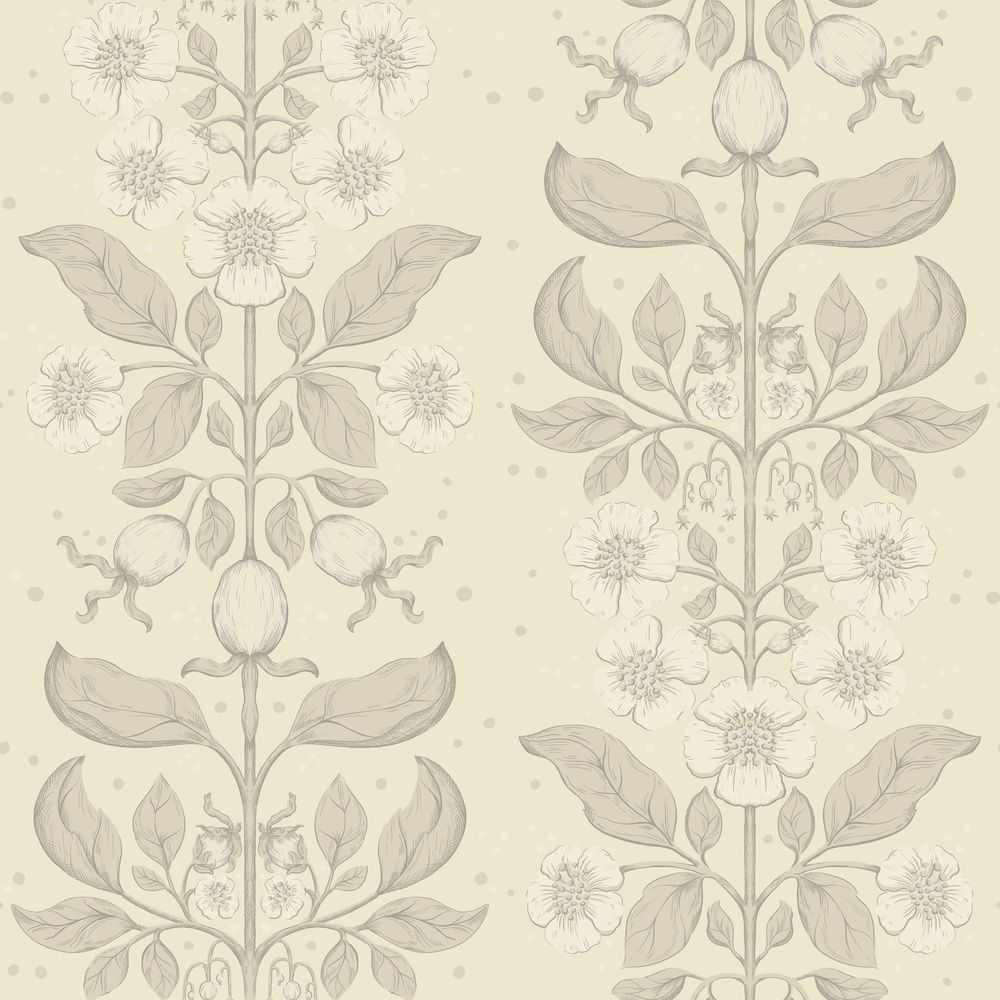 Bild på Rosa - 48009