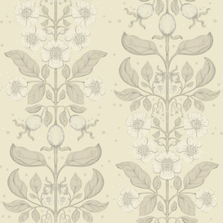 Picture of Rosa - 48009