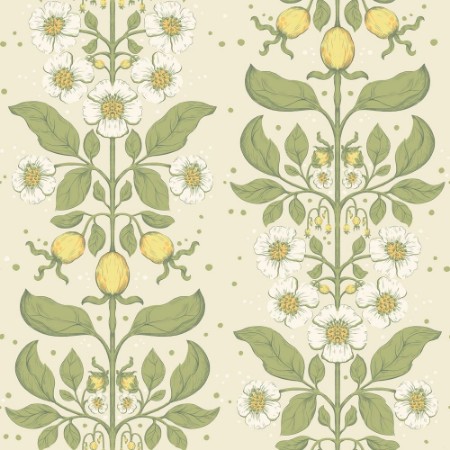 Picture of Rosa - 48010