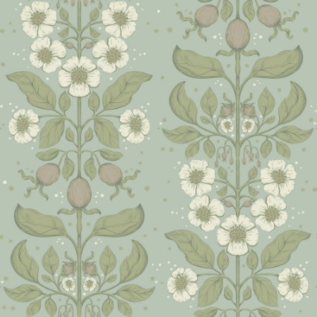 Picture of Rosa - 48011